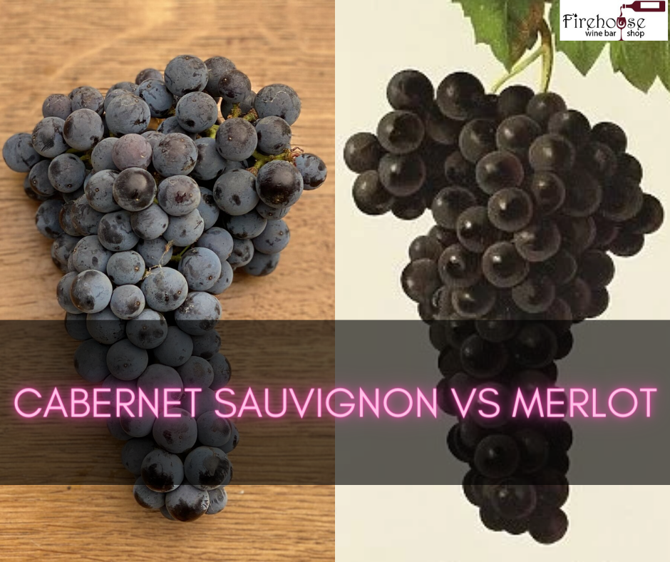 Cabernet Sauvignon vs Merlot