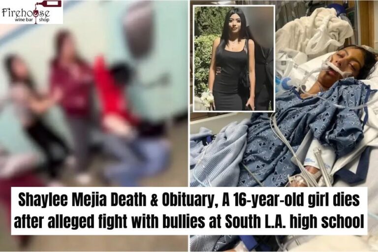 Shaylee Mejia Death & Obituary, A 16-year-old girl dies after alleged fight with bullies at South L.A. high school