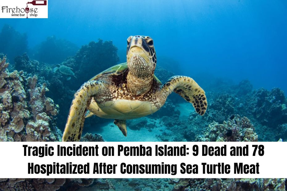 Tragic Incident on Pemba Island: 9 Dead and 78 Hospitalized After Consuming Sea Turtle Meat
