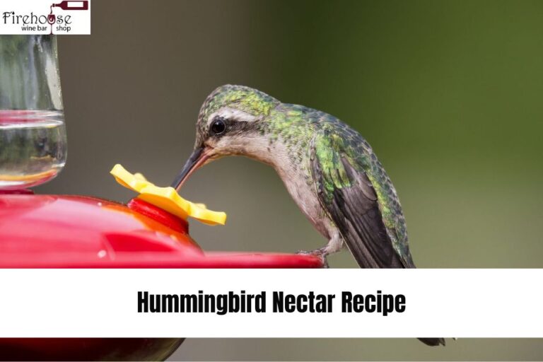 Homemade Hummingbird Nectar Recipe: A Sweet Treat for Your Feathered Friends